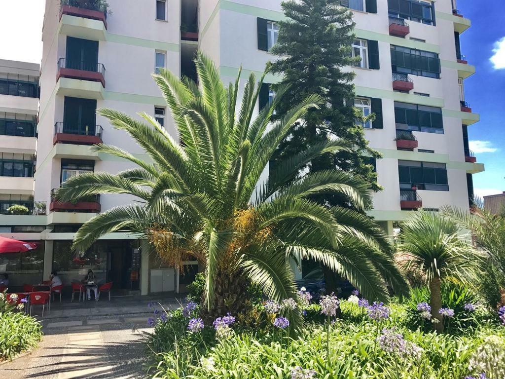 Funchal Apartament Marina View With Parking Free Exterior photo